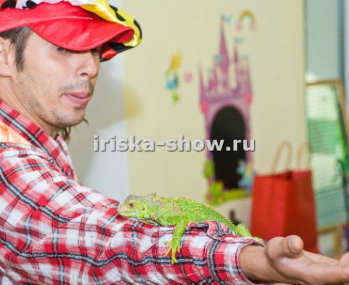 Человек паук и фокусник с животными