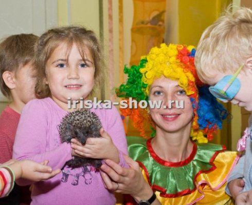 Человек паук и фокусник с животными